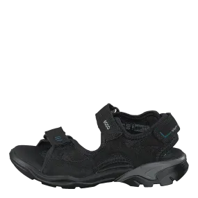Biom Raft Black