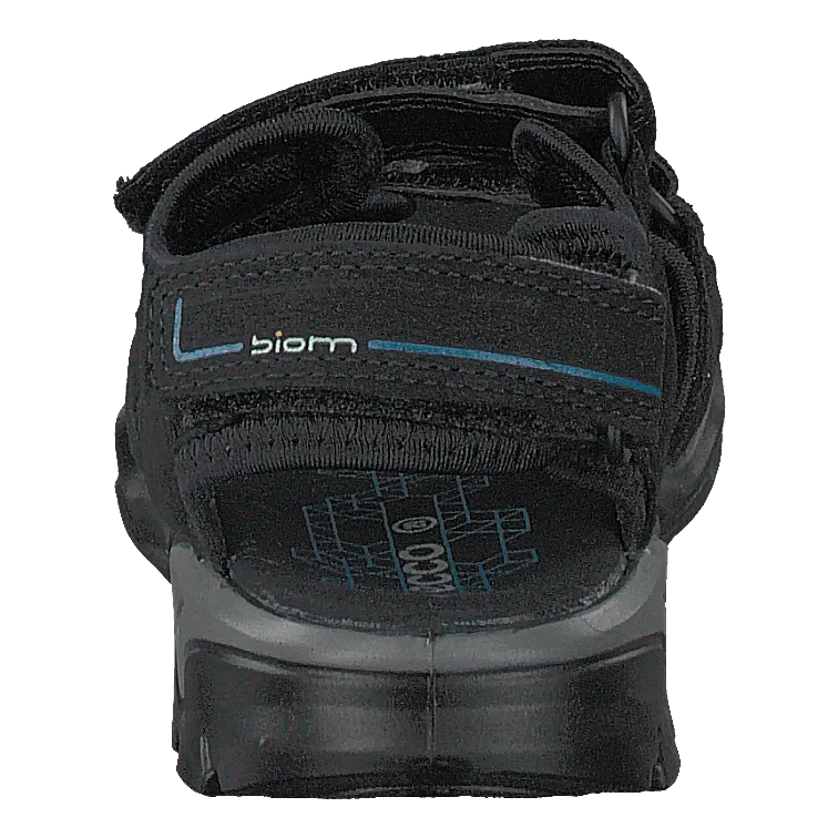 Biom Raft Black