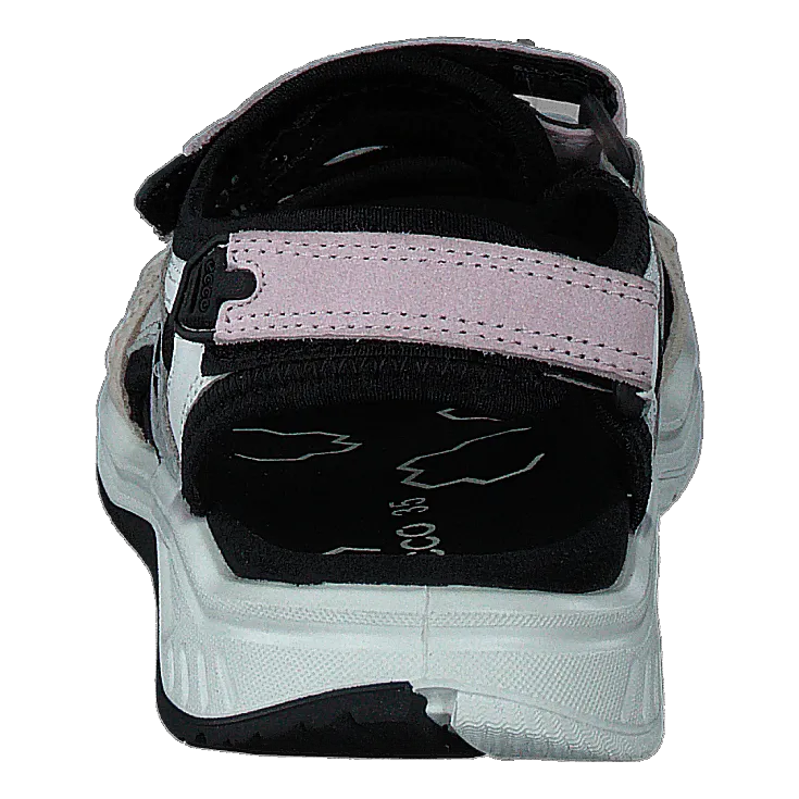 Ecco X-trinsic K Multicolor Blossom Rose